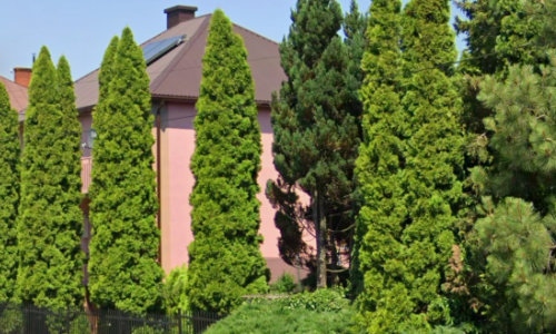 Usługi Hotelarskie 
