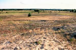 Kliknij, aby powiekszyc